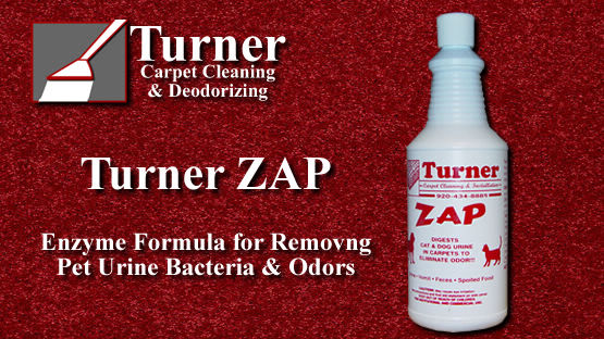 Turner Carpet Cleaning 200